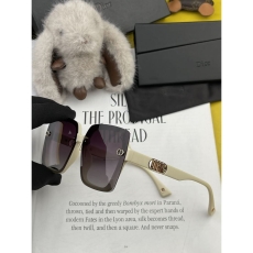 Christian Dior Sunglasses